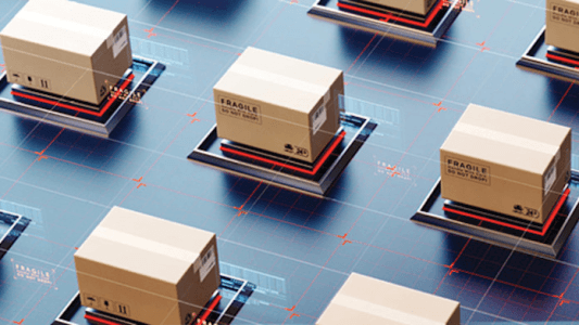 Seko Logistics Uses Descartes Solutions to Streamline Cross-Border E-commerce

