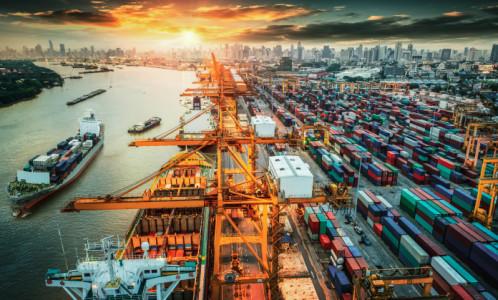 Insider: The Global Supply Chain Shows Signs of Recovery 
